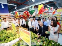 Đại lý thực phẩm sạch cần 3 bạn bán hàng và thu ngân Đại lý thực phẩm sạch cần 3 bạn bán hàng và thu ngân
