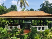 Bán biệt thự gỗ và sân vườn Bình Nhâm, Thuận An Bán biệt thự gỗ và sân vườn Bình Nhâm, Thuận An