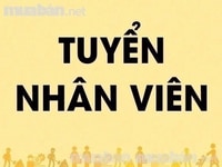Công ty cần tuyển gấp nhân viên Văn phòng Công ty cần tuyển gấp nhân viên Văn phòng