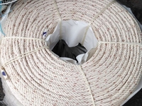 Dây thừng công nghệ mới 8.000/m 6li (6mm) Siêu bền Dây thừng công nghệ mới 8.000/m 6li (6mm) Siêu bền