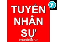 Cần tuyển gấp nhân viên nam nữ tư vấn bán hàng Cần tuyển gấp nhân viên nam nữ tư vấn bán hàng