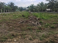 Bán đất mặt tiền quốc lộ 1 thuộc xã nhị bình huyện châu thành Bán đất mặt tiền quốc lộ 1 thuộc xã nhị bình huyện châu thành
