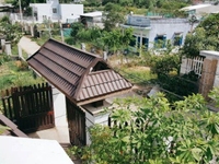 Bán hoặc cho thuê biệt thự Nha Trang 568m2 Bán hoặc cho thuê biệt thự Nha Trang 568m2