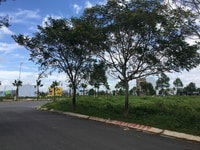 Chính Chủ Bán Lô Đất Bình Chánh, DT 100m2 Chính Chủ Bán Lô Đất Bình Chánh, DT 100m2