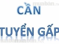 Siêu thị MINI Cần gấp nam /nữ LGBT làm việc thời vụ hoặc lâu dài Siêu thị MINI Cần gấp nam /nữ LGBT làm việc thời vụ hoặc lâu dài