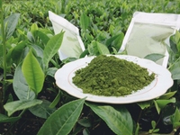 Cửa hàng Trà thái cần tuyển nam/ nữ partime bán hàng. Cửa hàng Trà thái cần tuyển nam/ nữ partime bán hàng.