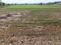 Bán đất 6.000m2 Ổ Cu Kiến Vàng, Bình Chánh, giá 800 nghìn/m2. Bán đất 6.000m2 Ổ Cu Kiến Vàng, Bình Chánh, giá 800 nghìn/m2.