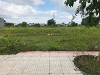 Bán đát mặt tiền Hắc Dịch Tóc Tiên sổ hồng riêng Bán đát mặt tiền Hắc Dịch Tóc Tiên sổ hồng riêng