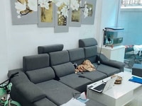 Bán nhà riêng ngõ 10 Tôn Thất Tùng x 40m2, quận Đống Đa Bán nhà riêng ngõ 10 Tôn Thất Tùng x 40m2, quận Đống Đa