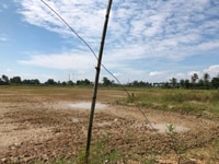 Cần bán gấp 10.489m2 đất nông nghiệp xã Đức Tân, huyện Tân Trụ Cần bán gấp 10.489m2 đất nông nghiệp xã Đức Tân, huyện Tân Trụ