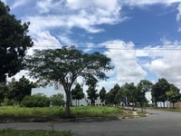 Bán đất sổ hồng chính chủ tại Bình Chánh, giá tốt Bán đất sổ hồng chính chủ tại Bình Chánh, giá tốt