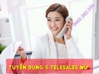Cần Tuyển Gấp 5 Telesales Nữ Theo Ca Tại 369 Trường Chinh Cần Tuyển Gấp 5 Telesales Nữ Theo Ca Tại 369 Trường Chinh