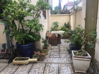 Cho Thuê Biệt Thự Làm VP Phường Hiệp Bình Chánh Q2 DT 12x21m 2Tầng !!! Cho Thuê Biệt Thự Làm VP Phường Hiệp Bình Chánh Q2 DT 12x21m 2Tầng !!!