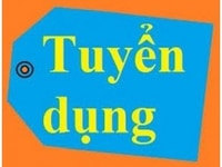 Cần Tuyển Chuyên Viên Tư Vấn BđS Gò Vấp Cần Tuyển Chuyên Viên Tư Vấn BđS Gò Vấp