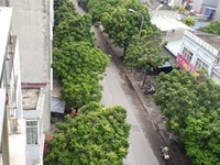 Bán đất mặt Phố Hoàng Minh Thảo, Lê Chân, Hải Phòng. Giá chỉ có 2.8 tỷ Bán đất mặt Phố Hoàng Minh Thảo, Lê Chân, Hải Phòng. Giá chỉ có 2.8 tỷ