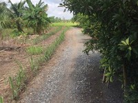 Cần bán 3620m2 đất tại Ấp 2, Xã Tân Nhựt, Bình Chánh, TP. HCM. Cần bán 3620m2 đất tại Ấp 2, Xã Tân Nhựt, Bình Chánh, TP. HCM.