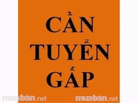 Cần tuyển gấp nhân viên kế toán thu ngân tại siêu thị Cần tuyển gấp nhân viên kế toán thu ngân tại siêu thị