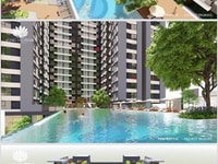 Nhà đầu tư Có nên sở hữu căn hộ du lịch Vũng Tàu Pearl Nhà đầu tư Có nên sở hữu căn hộ du lịch Vũng Tàu Pearl
