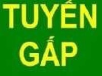 Tuyển gấp nhân viên nam nữ bán hàng Tuyển gấp nhân viên nam nữ bán hàng