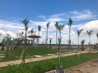 Nhanh tay chọn cho mình nền đẹp tại dự án Phước Hải Ocean chỉ 420tr Nhanh tay chọn cho mình nền đẹp tại dự án Phước Hải Ocean chỉ 420tr