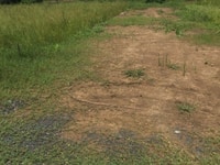 Bán đất 1.400m2 mặt tiền kênh, Bình Chánh. Giá: 1tr/m2 Bán đất 1.400m2 mặt tiền kênh, Bình Chánh. Giá: 1tr/m2