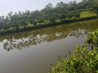 Bán gấp 7.000m2 đất gần sân Gold Snklec, tại Lương Sơn, Hòa Bình. Bán gấp 7.000m2 đất gần sân Gold Snklec, tại Lương Sơn, Hòa Bình.