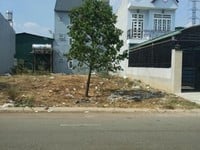 Đất nền thổ cư 100m2 Cẩm Mỹ Đồng Nai Đất nền thổ cư 100m2 Cẩm Mỹ Đồng Nai