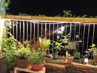 Cho thuê căn hộ S 100m2 , 3PN-2WC , nội thất nhập ngoại . Q. Long Biên Cho thuê căn hộ S 100m2 , 3PN-2WC , nội thất nhập ngoại . Q. Long Biên