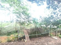 Bán đất xã sơn đông huyện sơn tây cách đường quốc lộ 21a 200m 1,5 tỷ. Bán đất xã sơn đông huyện sơn tây cách đường quốc lộ 21a 200m 1,5 tỷ.