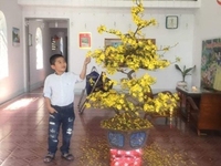 Bán nhà MT đường hùng vương, P cam phúc Nam, dt 397m2 giá 3,3 tỷ shr Bán nhà MT đường hùng vương, P cam phúc Nam, dt 397m2 giá 3,3 tỷ shr