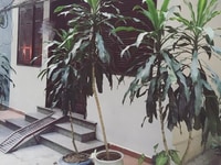 Bán đất Trích Sài, Tây Hồ, DT 45m2, MT 6,1m, giá 6,4 tỷ, ô tô, gần Hồ Bán đất Trích Sài, Tây Hồ, DT 45m2, MT 6,1m, giá 6,4 tỷ, ô tô, gần Hồ