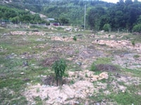 Bán 2.000m2 đất (2 mặt tiền) thuộc Bãi Rạng, Xuân Hải, TX Sông Cầu Bán 2.000m2 đất (2 mặt tiền) thuộc Bãi Rạng, Xuân Hải, TX Sông Cầu