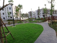 Chính chủ bán liền kề ST3 hướng chính Nam, view vườn hoa vị trí đẹp Chính chủ bán liền kề ST3 hướng chính Nam, view vườn hoa vị trí đẹp