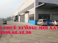 Cho thuê: 4 nhà xưởng(500m2;600m2,800m2;1.000m2) Kênh Trung Ương Bình Cho thuê: 4 nhà xưởng(500m2;600m2,800m2;1.000m2) Kênh Trung Ương Bình