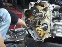 Tuyển gấp thợ sửa chữa xe máy, có kinh nghiệm, có chỗ ăn ở tại chỗ Tuyển gấp thợ sửa chữa xe máy, có kinh nghiệm, có chỗ ăn ở tại chỗ