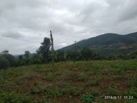 Đất thổ cư bán gấp xã Đông Thanh, Lâm Hà, Lâm Đồng. Đất thổ cư bán gấp xã Đông Thanh, Lâm Hà, Lâm Đồng.