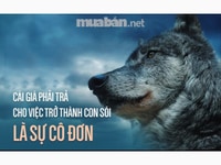 NẾU NHƯNG BẠN LÀ NGƯỜI TÍCH CỰC THÌ BẠN PHẢI PHẤN ĐẤU TRONG SỰ NGHIỆP NẾU NHƯNG BẠN LÀ NGƯỜI TÍCH CỰC THÌ BẠN PHẢI PHẤN ĐẤU TRONG SỰ NGHIỆP