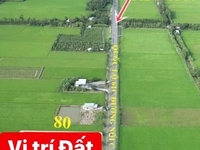 Bán đất mt Ql61C Hậu Giang, dt 1200m2 giá 1,25 tỷ Bán đất mt Ql61C Hậu Giang, dt 1200m2 giá 1,25 tỷ