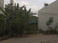 Bán gấp đất MT đường KÊNH TÂN HOÁ cách uỷ ban nhân dân P.Hoà 300m Bán gấp đất MT đường KÊNH TÂN HOÁ cách uỷ ban nhân dân P.Hoà 300m