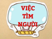 Cần người phụ việc tại Đà Nẵng Cần người phụ việc tại Đà Nẵng