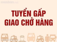 Cần tuyển gấp 01 bạn nam giao hàng bằng xe máy cho cửa hàng . Cần tuyển gấp 01 bạn nam giao hàng bằng xe máy cho cửa hàng .