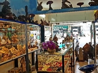 Tìm người kinh doanh hàng phong thủy! Tìm người kinh doanh hàng phong thủy!