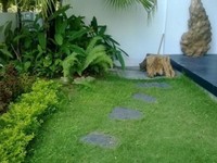 Soay tiền gấp bán biệt thự phúc lộc viên cảm kết giá rẻ hơn thị trường Soay tiền gấp bán biệt thự phúc lộc viên cảm kết giá rẻ hơn thị trường