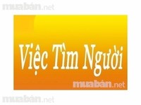 Cần vài bạn nam/nữ cho các vị trí: bán hàng-thu ngân-kiểm hàng. Cần vài bạn nam/nữ cho các vị trí: bán hàng-thu ngân-kiểm hàng.