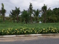 Nhơn Hội,82m2,Hướng:Đông Nam,LK 23,Biển 100m,Kẹp Công Viên,CK 10% Nhơn Hội,82m2,Hướng:Đông Nam,LK 23,Biển 100m,Kẹp Công Viên,CK 10%