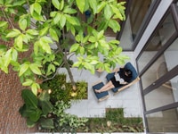 Bán nhà mặt tiền Lê Đức Thọ, phường 13, quận Gò Vấp Bán nhà mặt tiền Lê Đức Thọ, phường 13, quận Gò Vấp