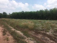 Bán đất nền chơn thành giá rẻ, sổ hồng, thổ cư Bán đất nền chơn thành giá rẻ, sổ hồng, thổ cư