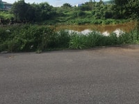 Giá cao đừng gọi tui bán miếng đất cách cầu Rau Râm 800m2, 120m2 Giá cao đừng gọi tui bán miếng đất cách cầu Rau Râm 800m2, 120m2