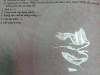 Đất giá rẻ Tịnh Phong- An Tịnh Đất giá rẻ Tịnh Phong- An Tịnh