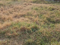 Bán lô đất gần chợ Thới Hòa, Vĩnh Lộc B, Bình Chánh, gía 700trệu. Bán lô đất gần chợ Thới Hòa, Vĩnh Lộc B, Bình Chánh, gía 700trệu.